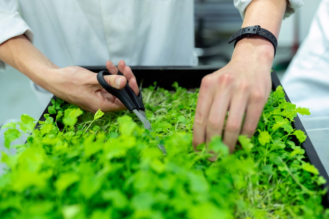 GED IA pour l'Agriculture